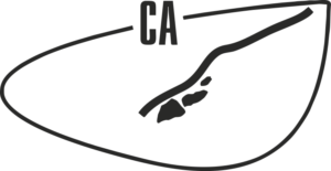 Логотип СА